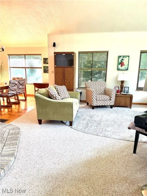 Carpeted living room featuring healthy amount of natural light and a textured ceiling