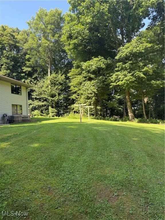 View of grassy yard
