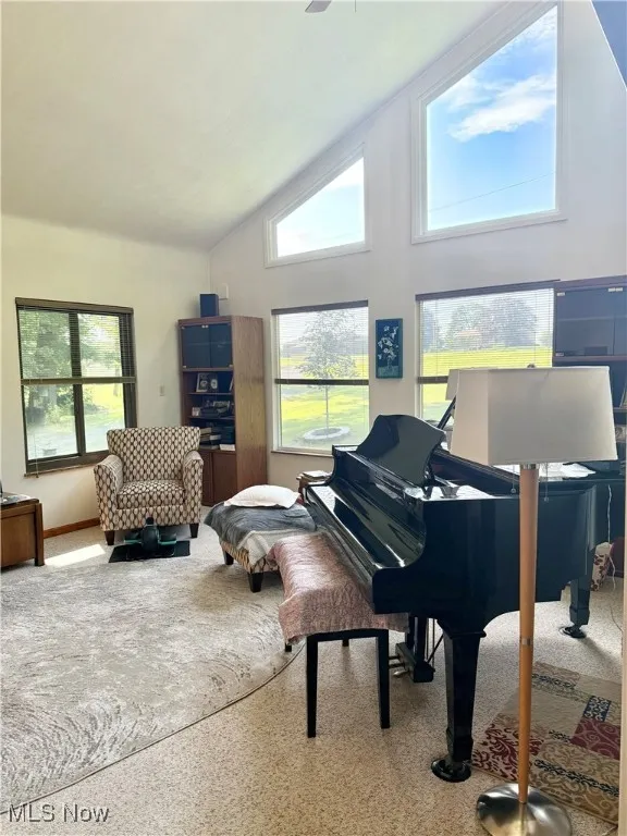 Living area with high vaulted ceiling