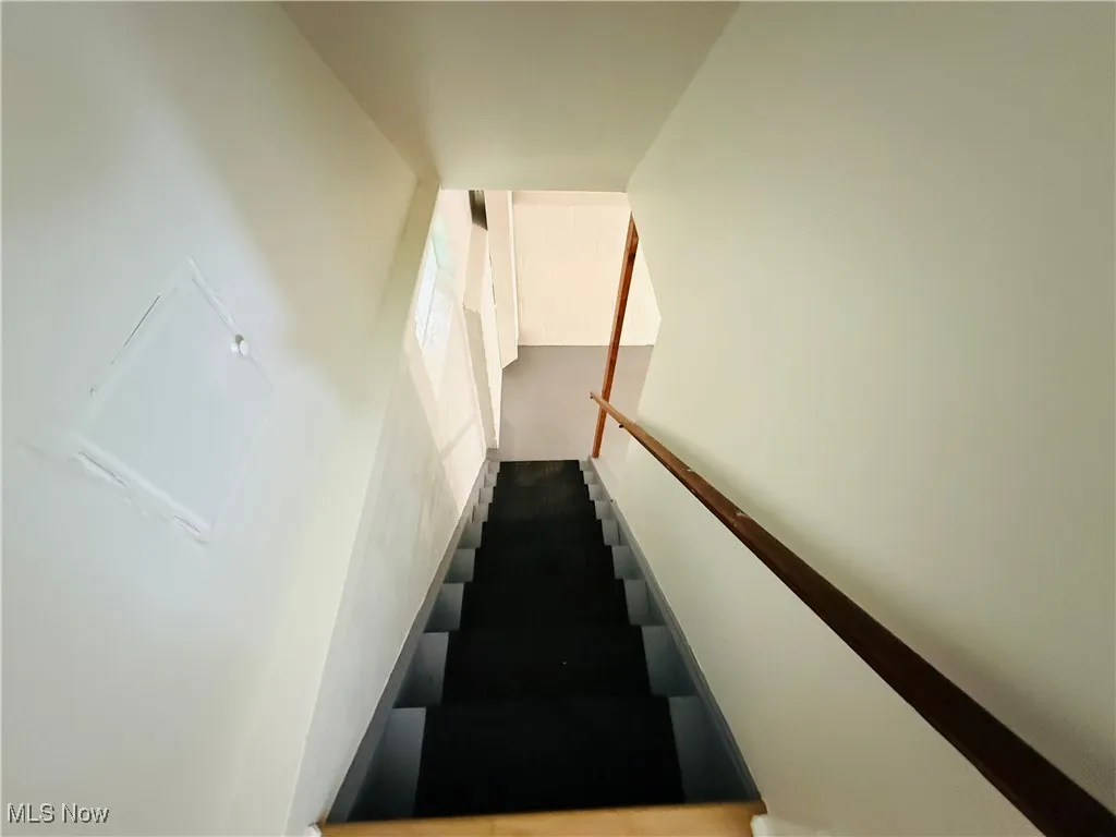 Stairs with carpet