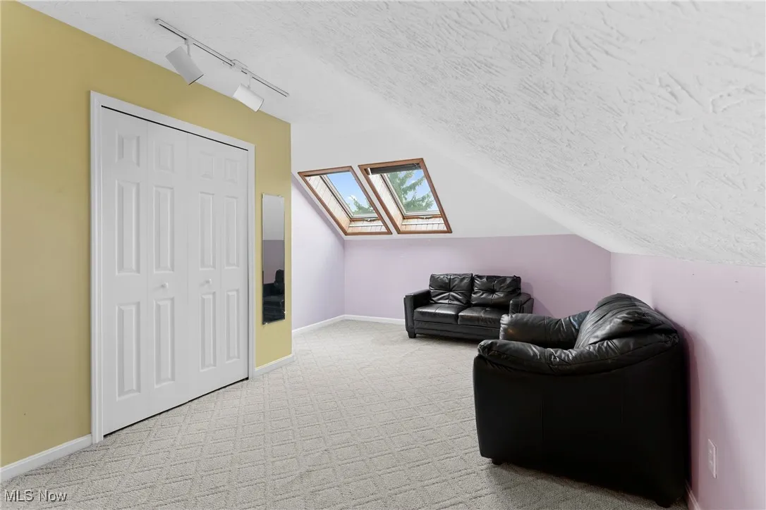 Sitting room featuring light carpet, a textured ceiling, rail lighting, lofted ceiling, and a skylight