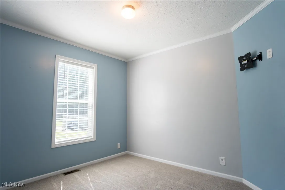 Spare room featuring plenty of natural light, carpet flooring, and ornamental molding