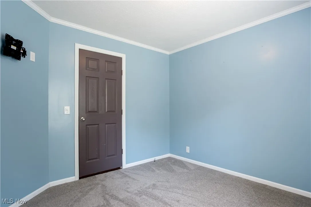 Unfurnished room featuring ornamental molding and carpet