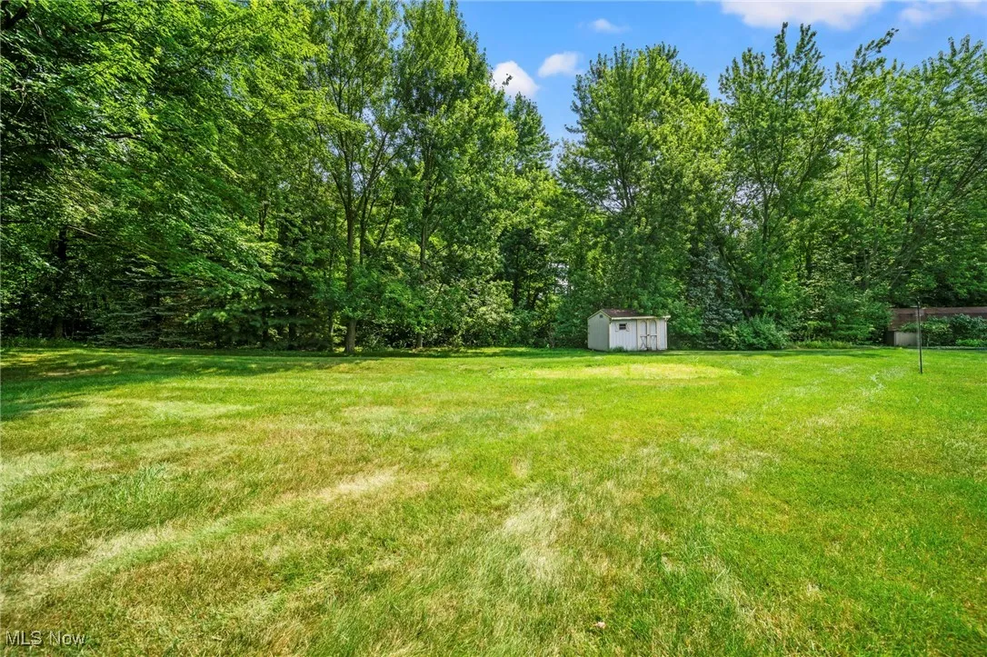 View of green lawn with a shed and a view of trees