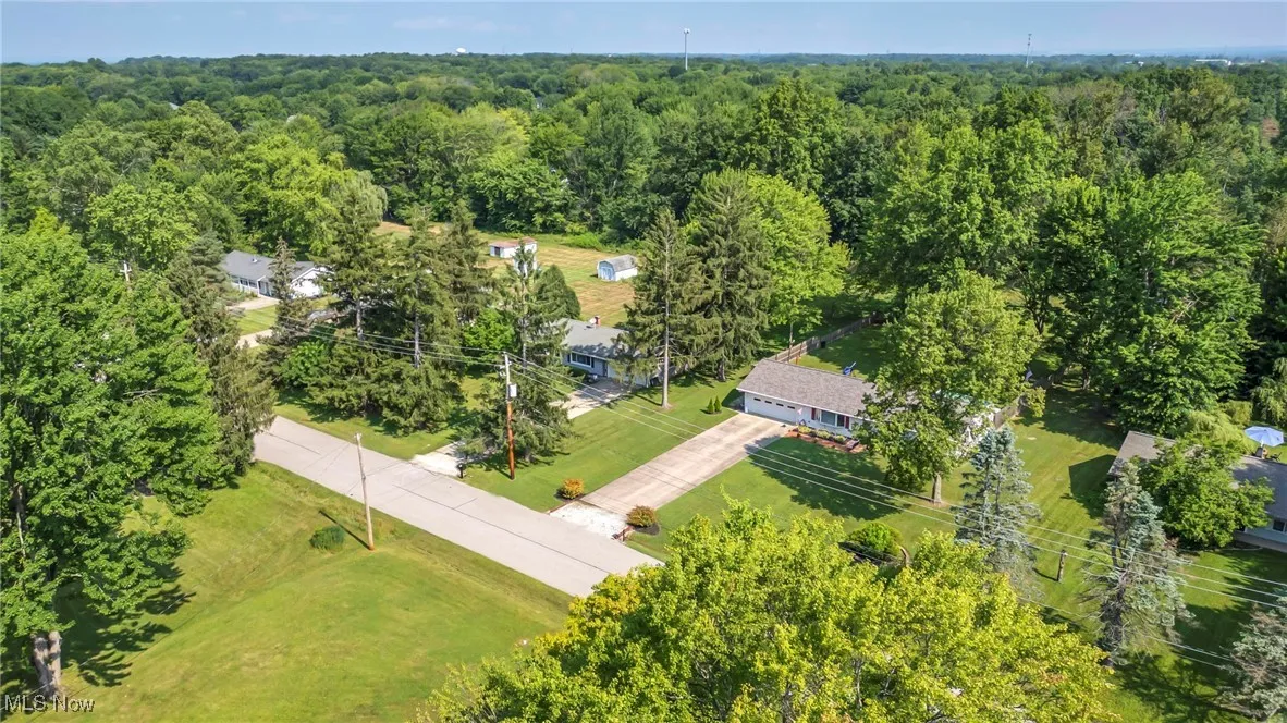 Drone / aerial view of a forest