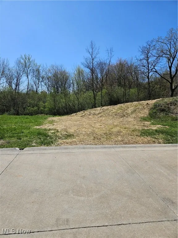 View of yard with a view of trees