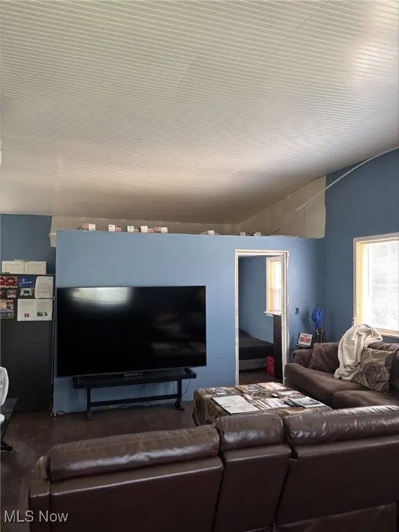 Living area featuring wood finished floors and vaulted ceiling
