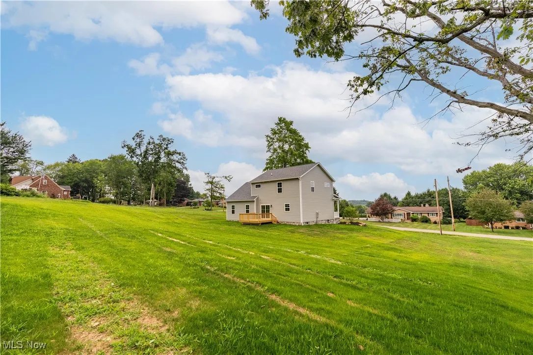 Large back yard