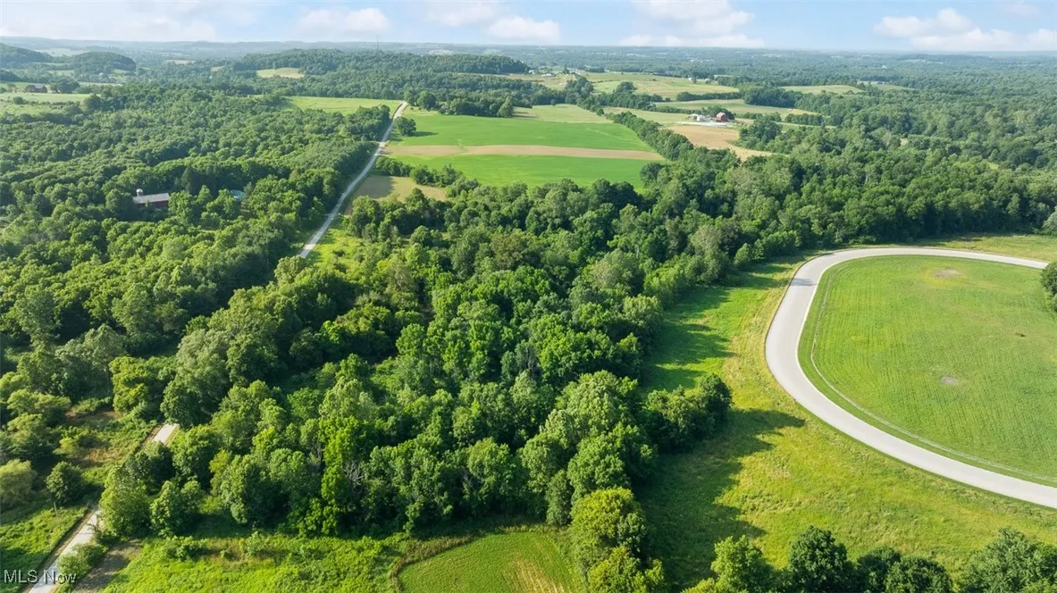 Bird's eye view of a heavily wooded area