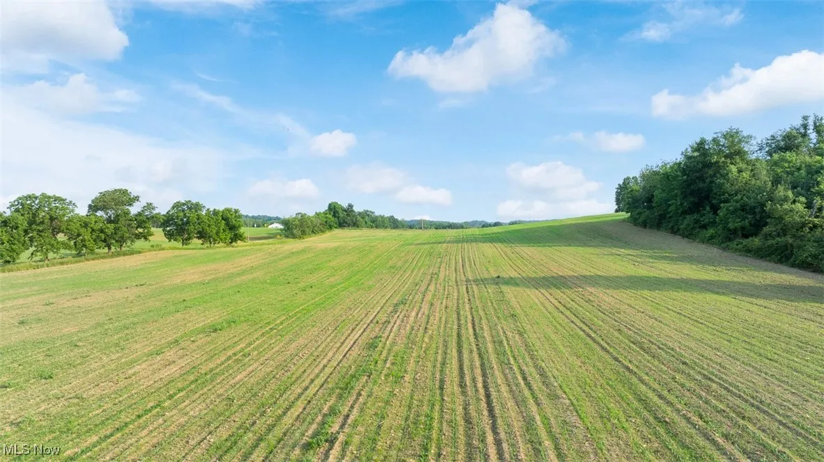 View of green lawn with a view of rural / pastoral area