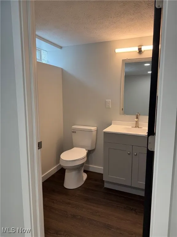 Bathroom with vanity, wood finished floors, and a textured ceiling