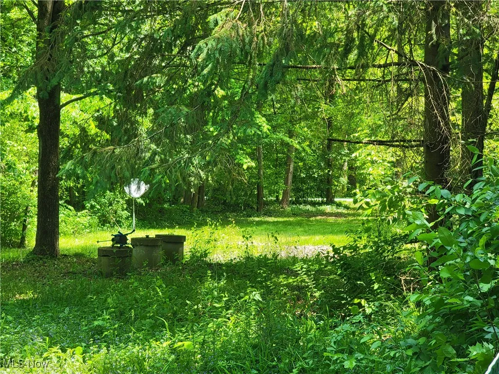 View of woods