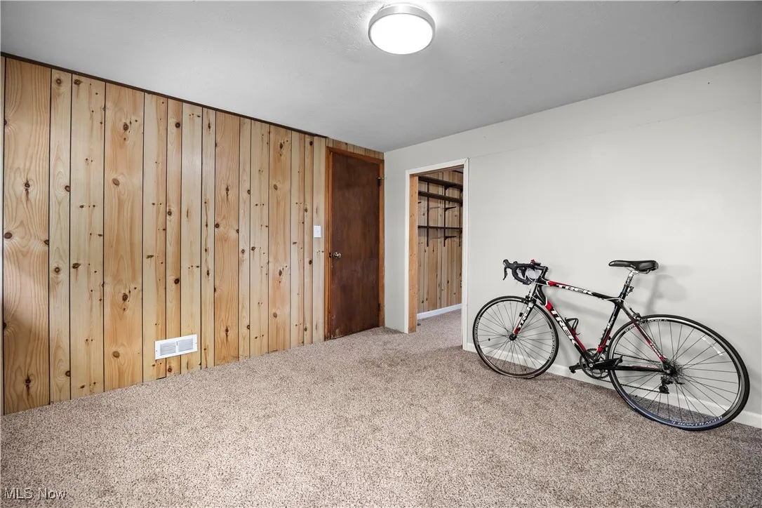 Recreation room with carpet floors and wooden walls