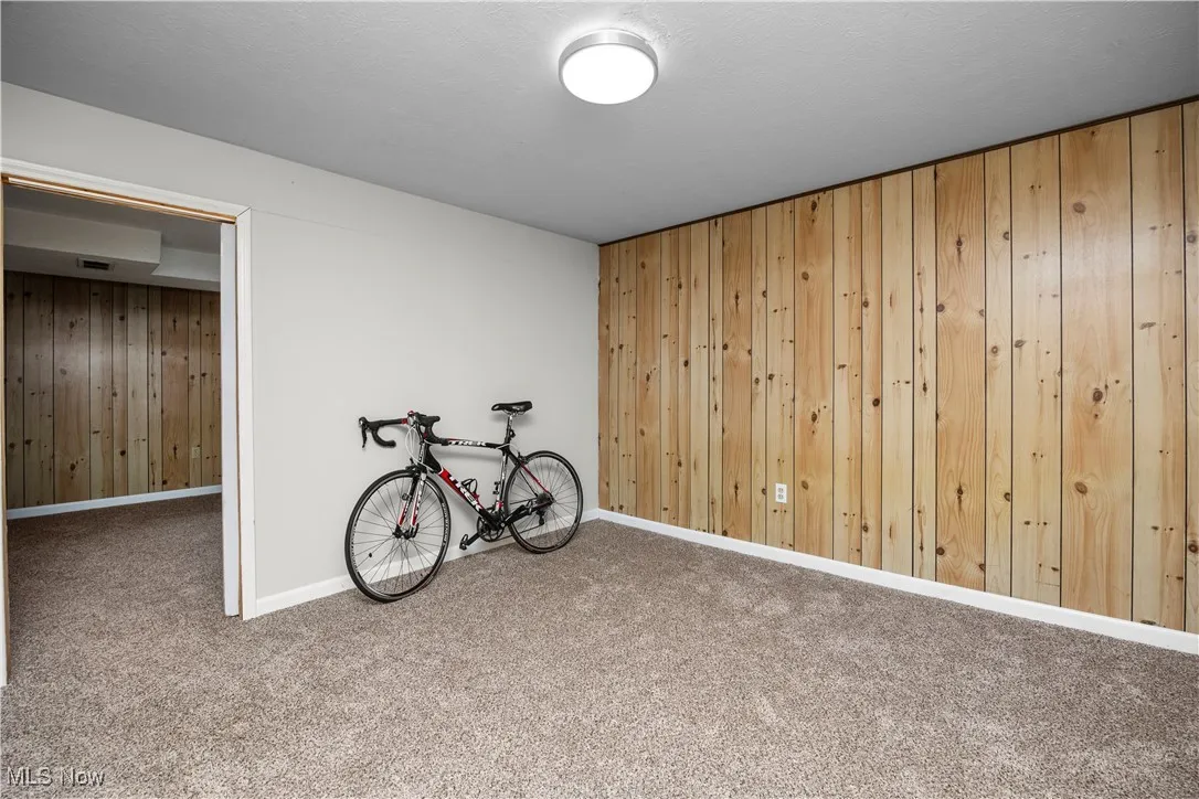 Recreation room featuring wooden walls and carpet floors