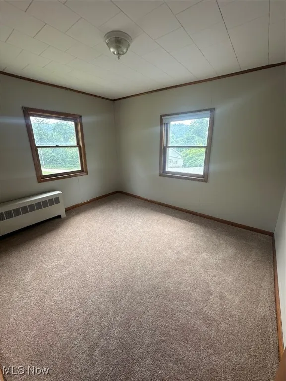 Carpeted spare room with baseboards and ornamental molding