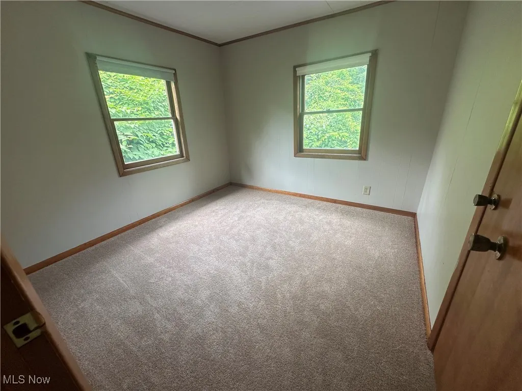 Carpeted spare room with crown molding and baseboards