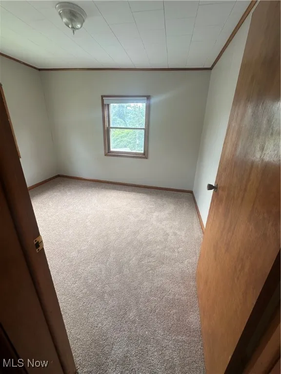Spare room featuring ornamental molding and carpet floors