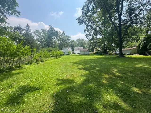 View of green lawn