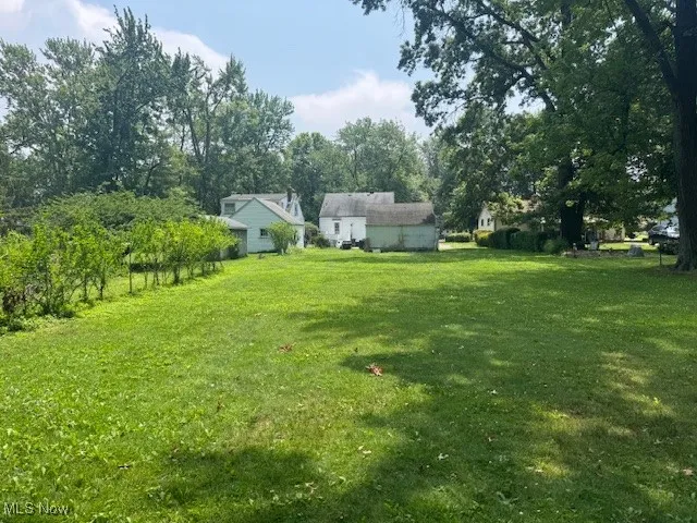 View of grassy yard