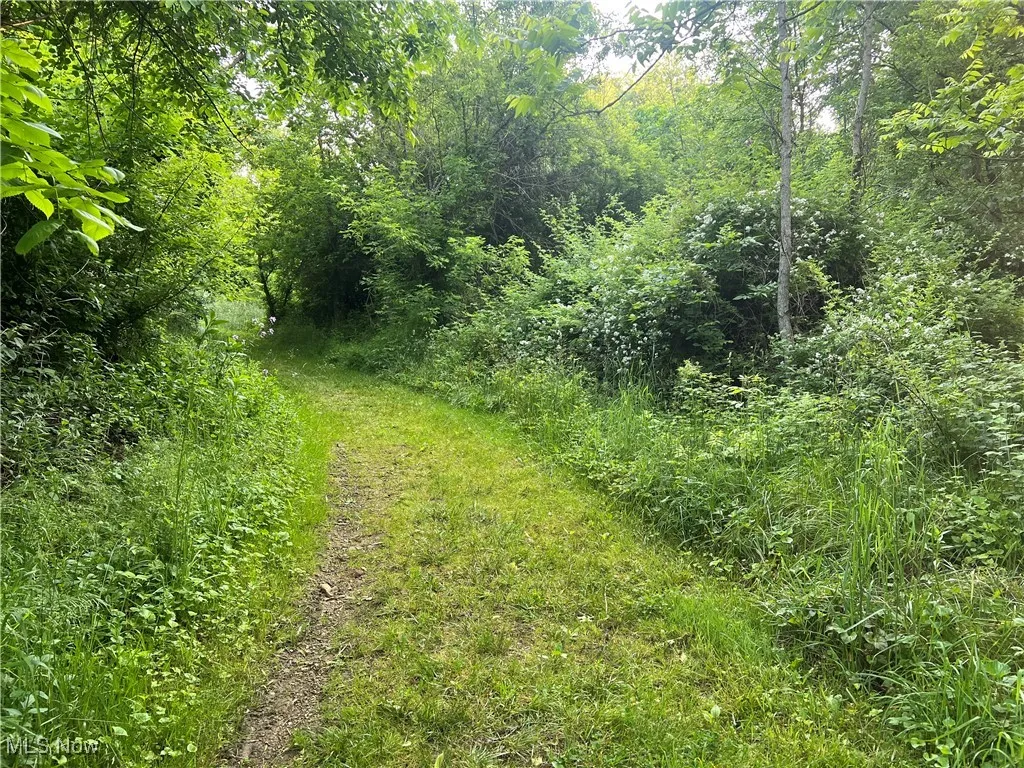 4300 Mechanicsburg Road, Wooster, Ohio,MLS Now Listing ID
