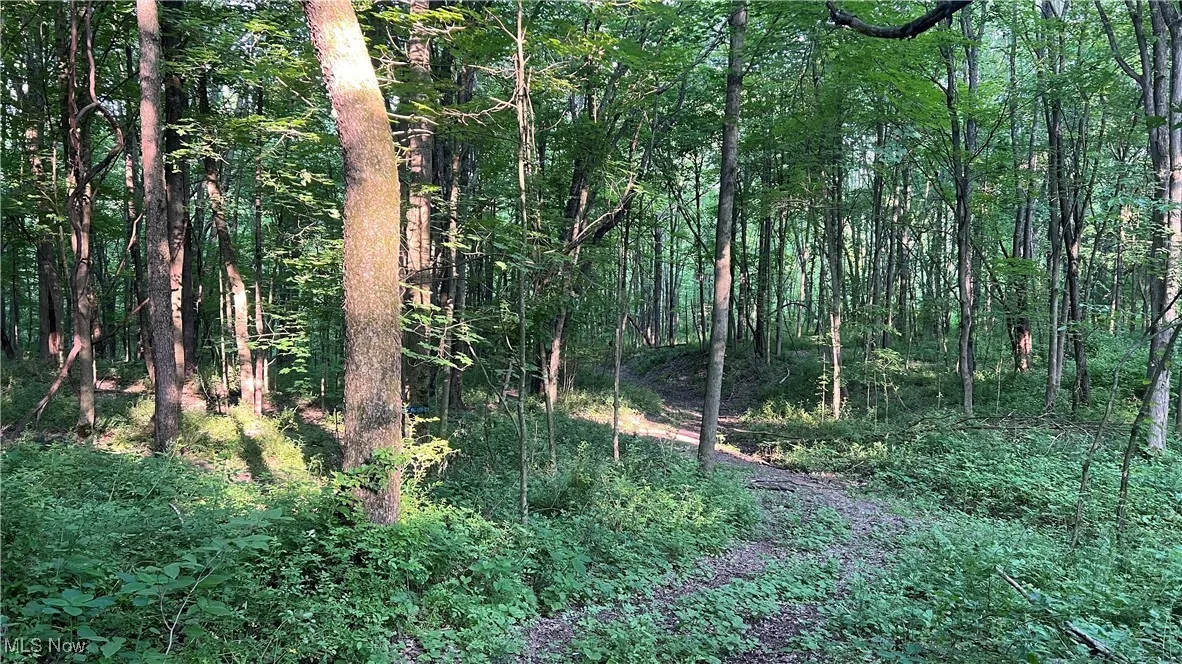 4300 Mechanicsburg Road, Wooster, Ohio,MLS Now Listing ID