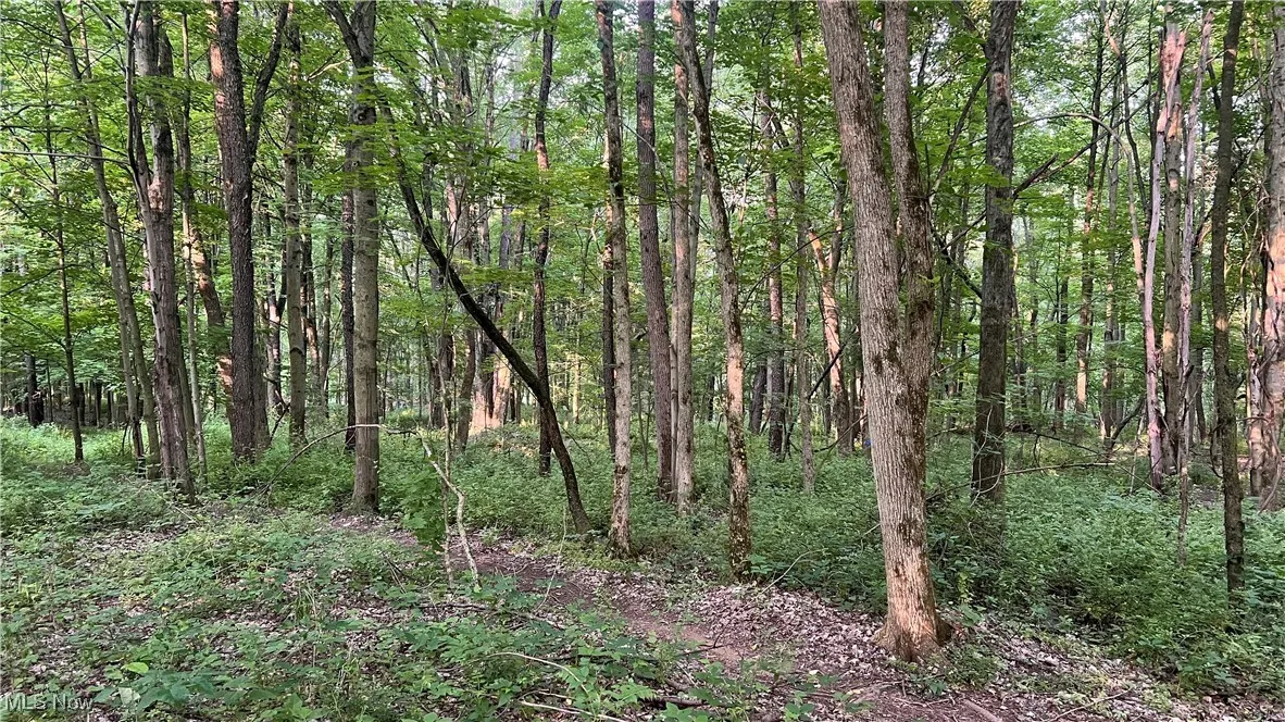 4300 Mechanicsburg Road, Wooster, Ohio,MLS Now Listing ID