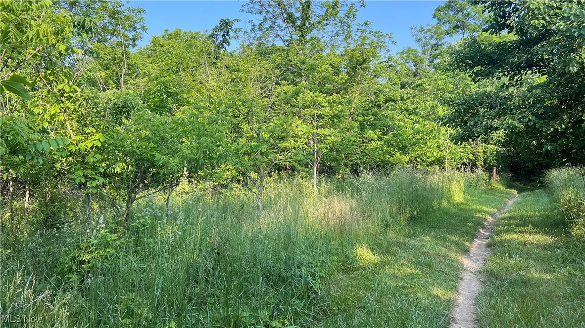 4300 Mechanicsburg Road, Wooster, Ohio,MLS Now Listing ID
