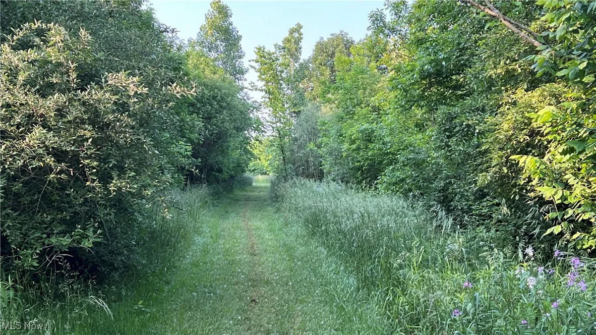 4300 Mechanicsburg Road, Wooster, Ohio,MLS Now Listing ID