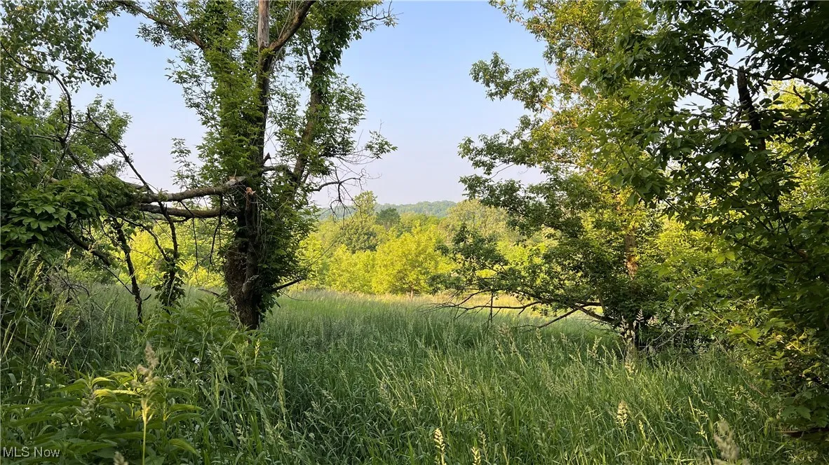 4300 Mechanicsburg Road, Wooster, Ohio,MLS Now Listing ID