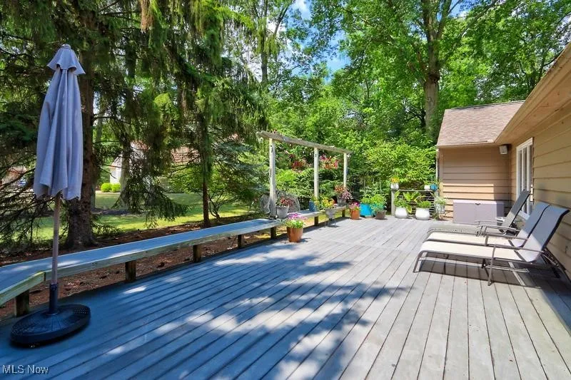 Deck runs along the back of the house; shielded yearround by spruce trees.