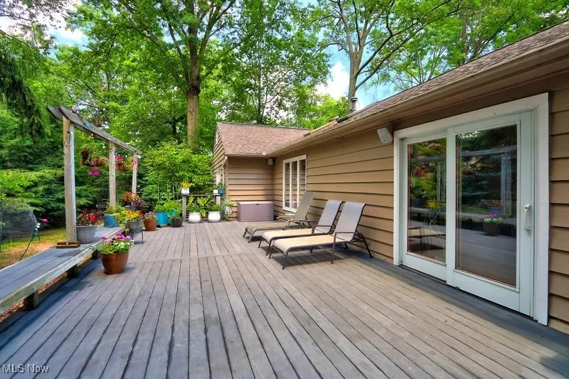 Rear deck for entertaining, relaxation.
