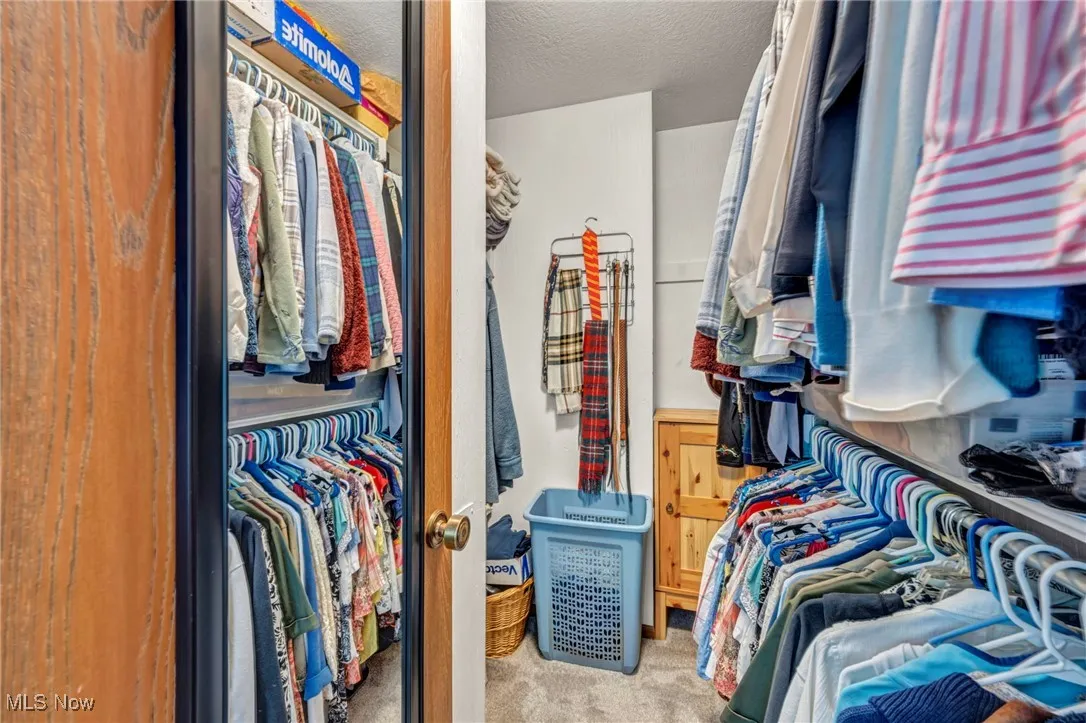 Spacious closet with carpet