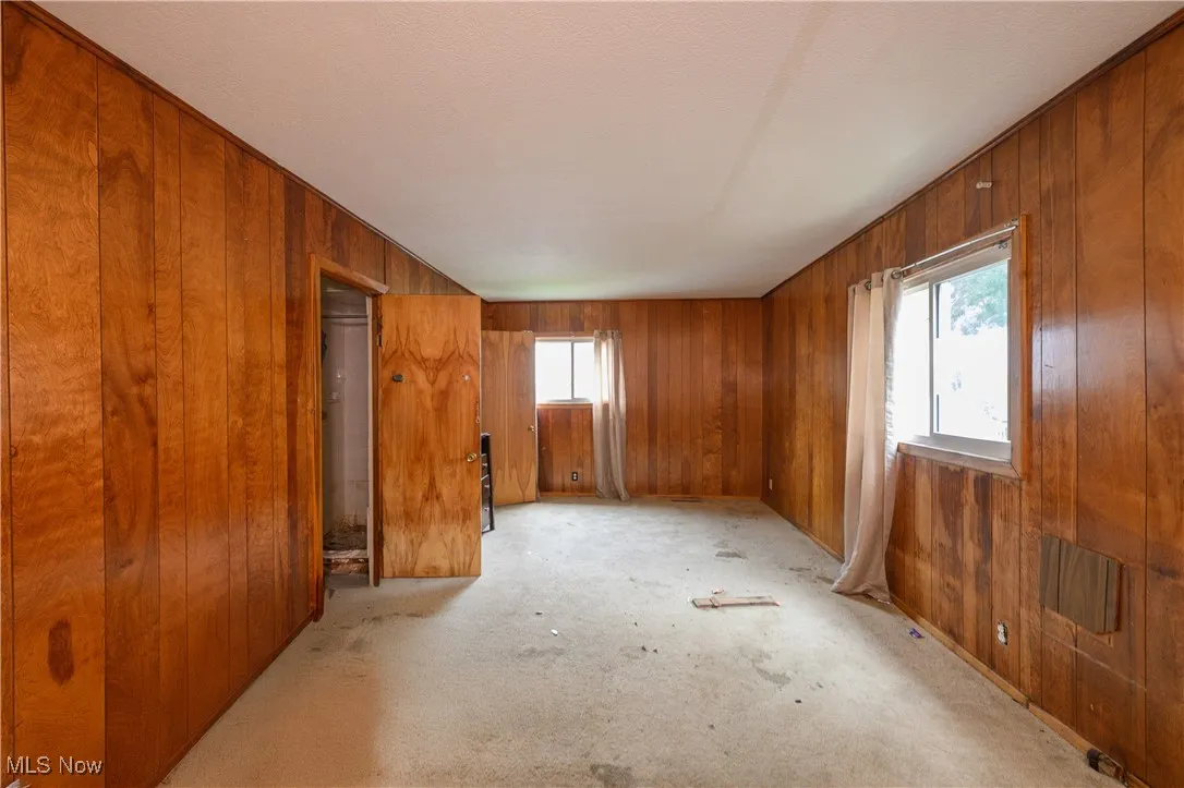 Unfurnished room featuring wood walls and light colored carpet