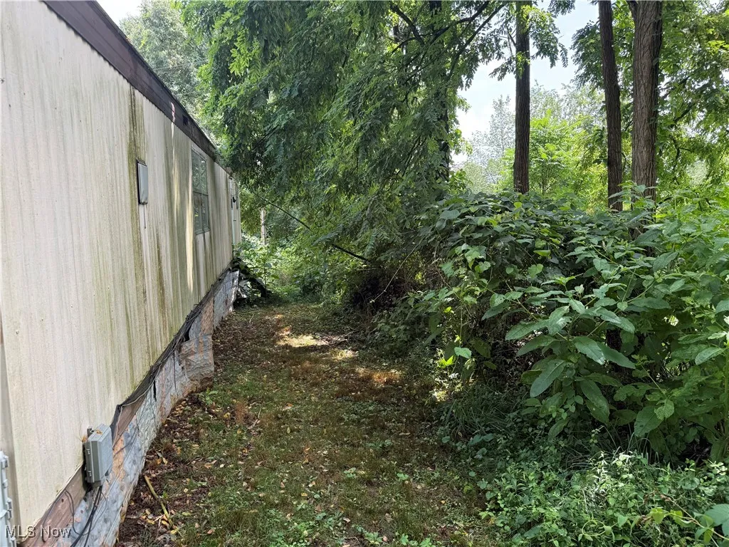201 Pear Street # LOT 6, Bethesda, Ohio,MLS Now Listing ID