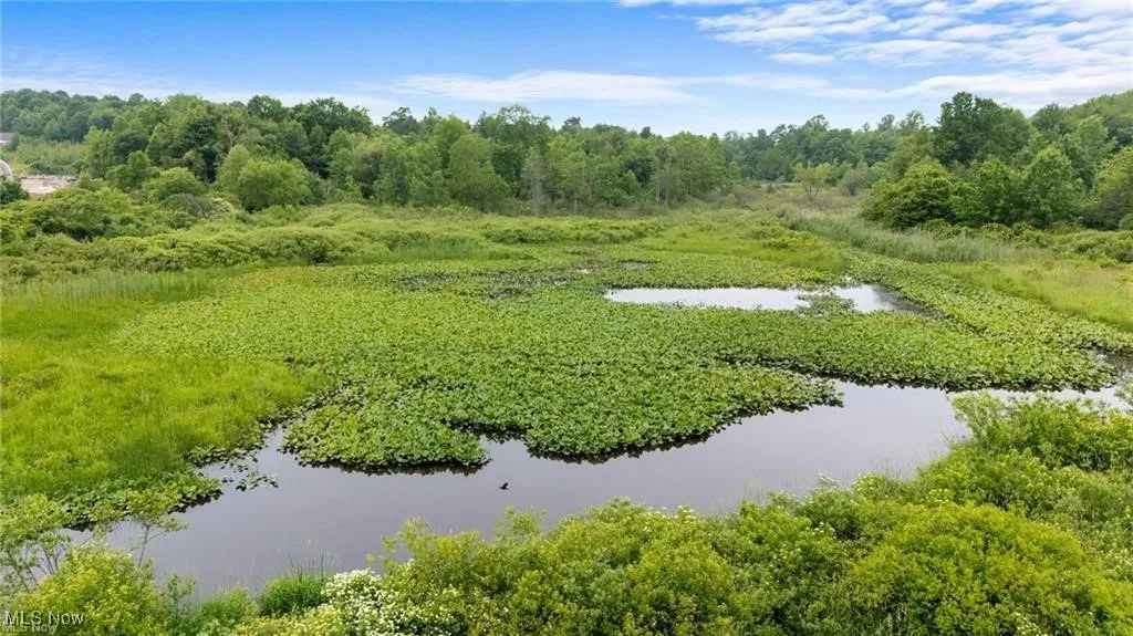 17092 Munn Road, Chagrin Falls, Ohio,MLS Now Listing ID