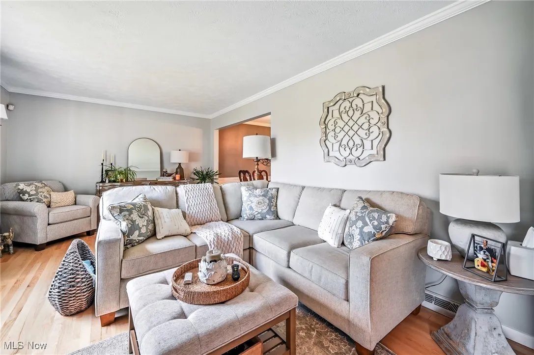 Living room featuring wood finished floors and crown molding