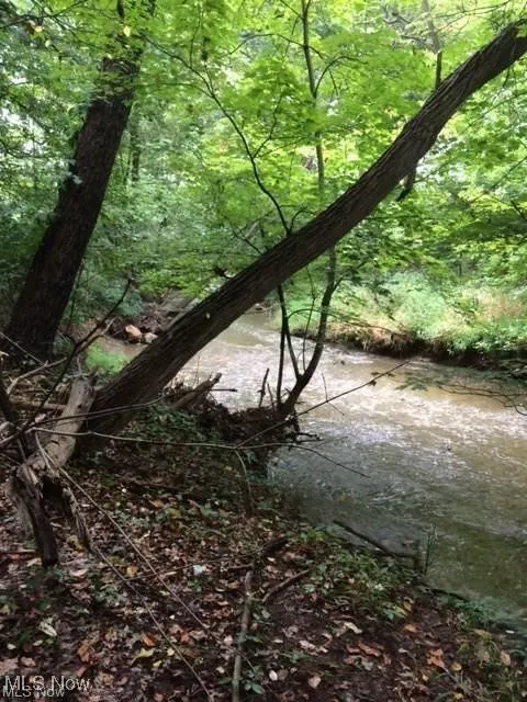 View of woods on lot