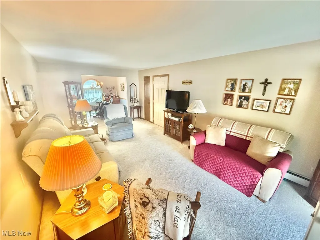 Living area with carpet floors and a baseboard radiator