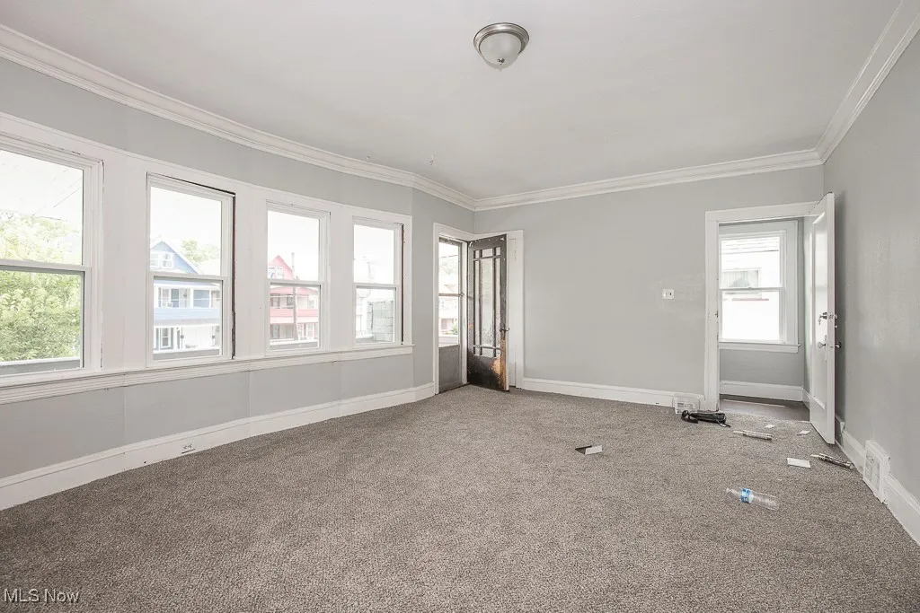 Spare room with carpet floors, crown molding, and plenty of natural light
