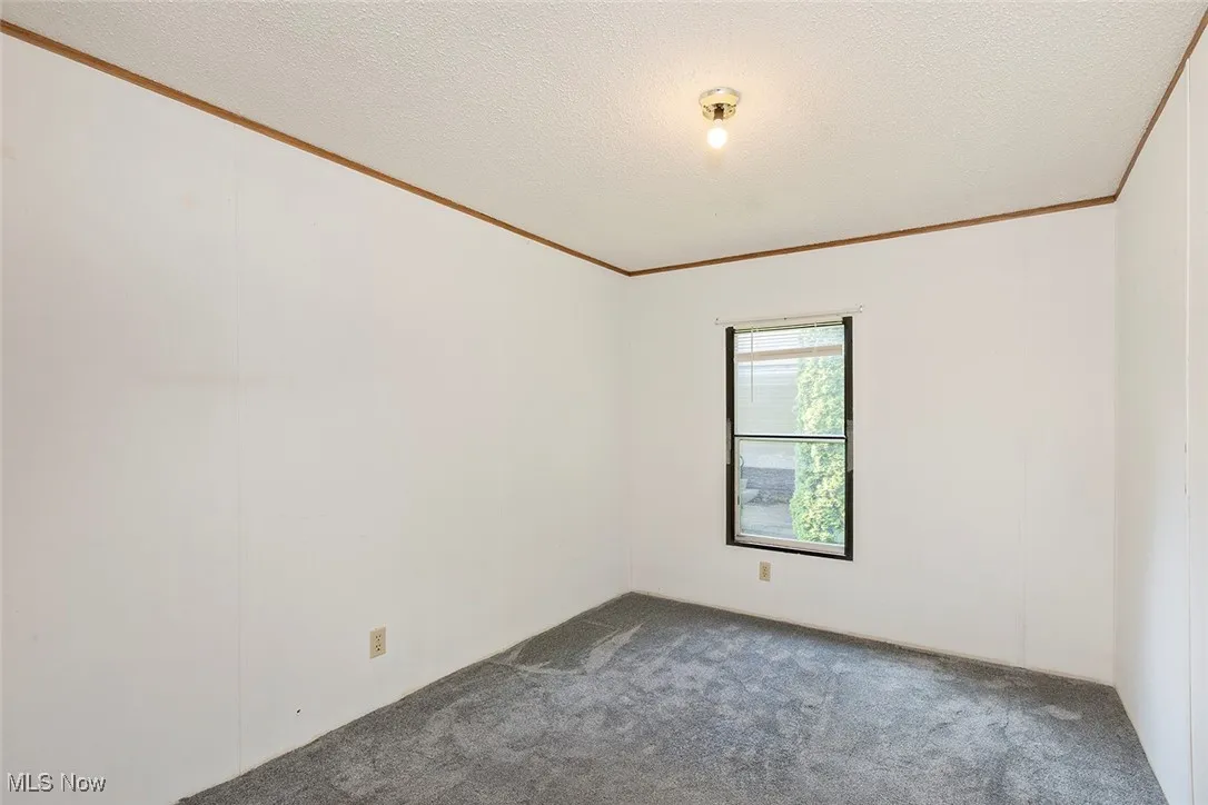 Empty room with ornamental molding, carpet flooring, and a textured ceiling