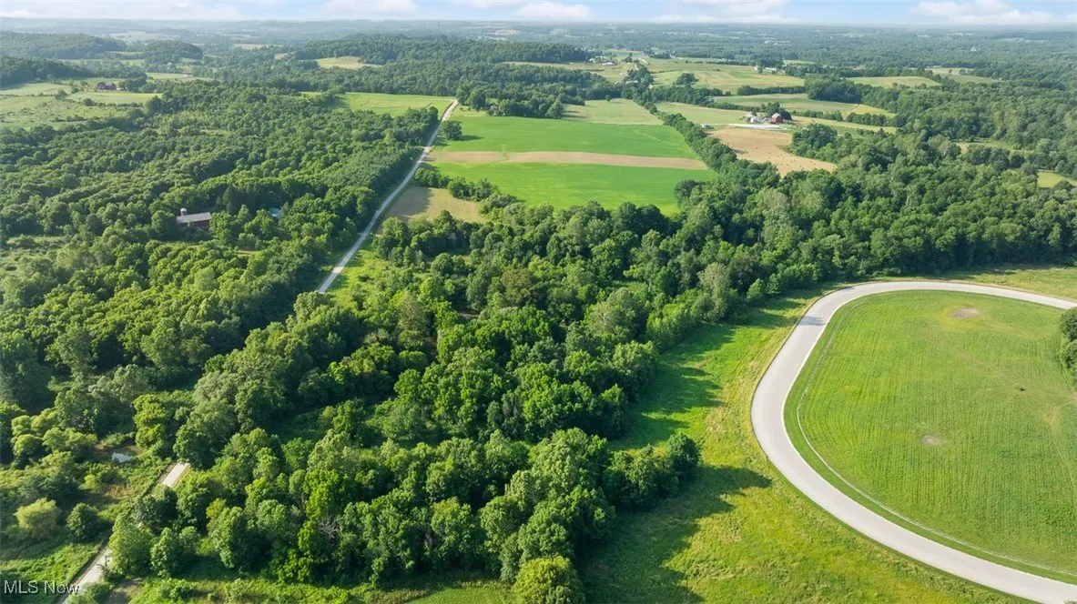 Overview of rural landscape featuring a forest