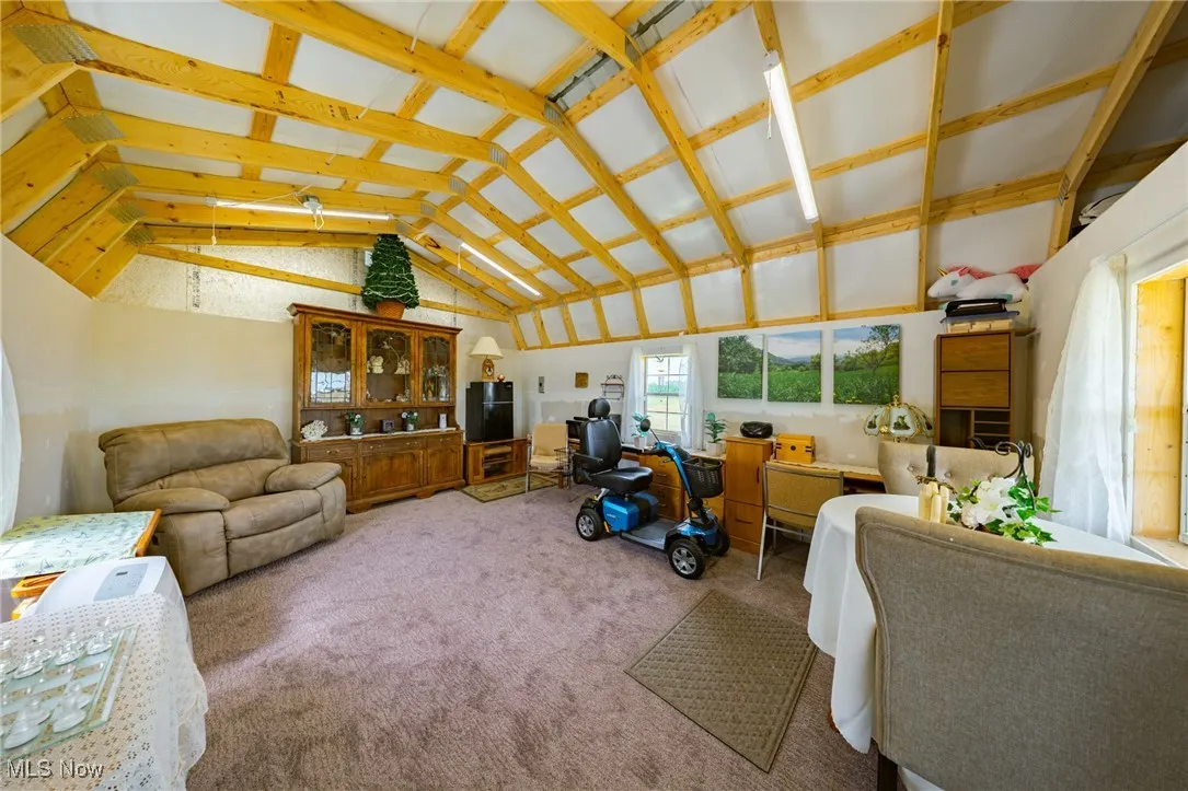 Interior she shed