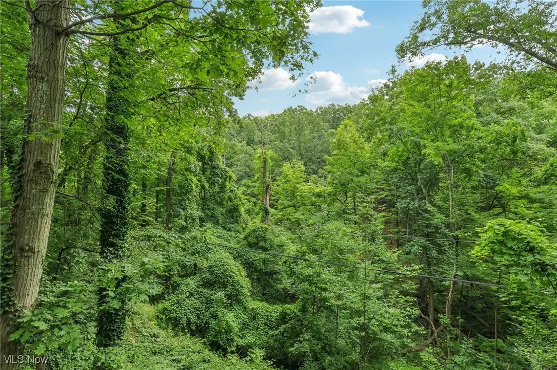 View of woods