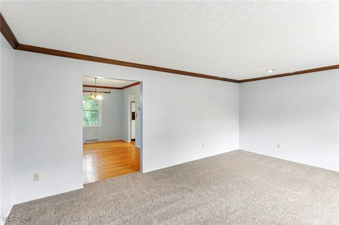 Carpeted spare room with ornamental molding and a textured ceiling