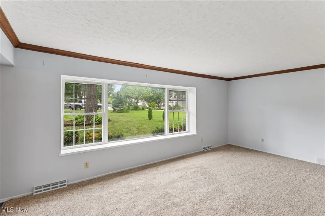 Carpeted empty room with crown molding and a textured ceiling
