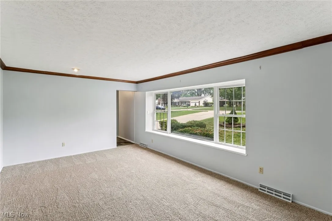 Carpeted spare room featuring ornamental molding and a textured ceiling