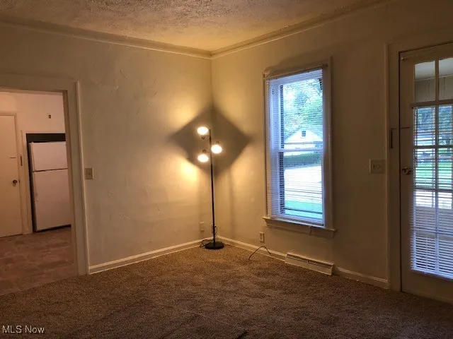 Unfurnished room with a textured ceiling, carpet, plenty of natural light, and ornamental molding