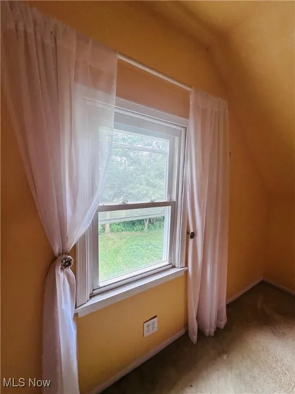 Bonus room with carpet flooring