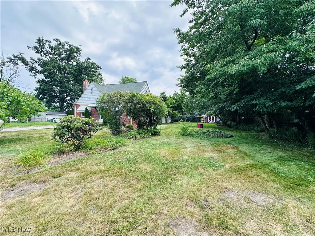 View of grassy yard