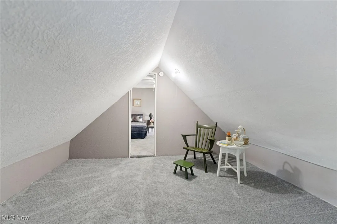 Living area featuring a textured ceiling, vaulted ceiling, and carpet flooring